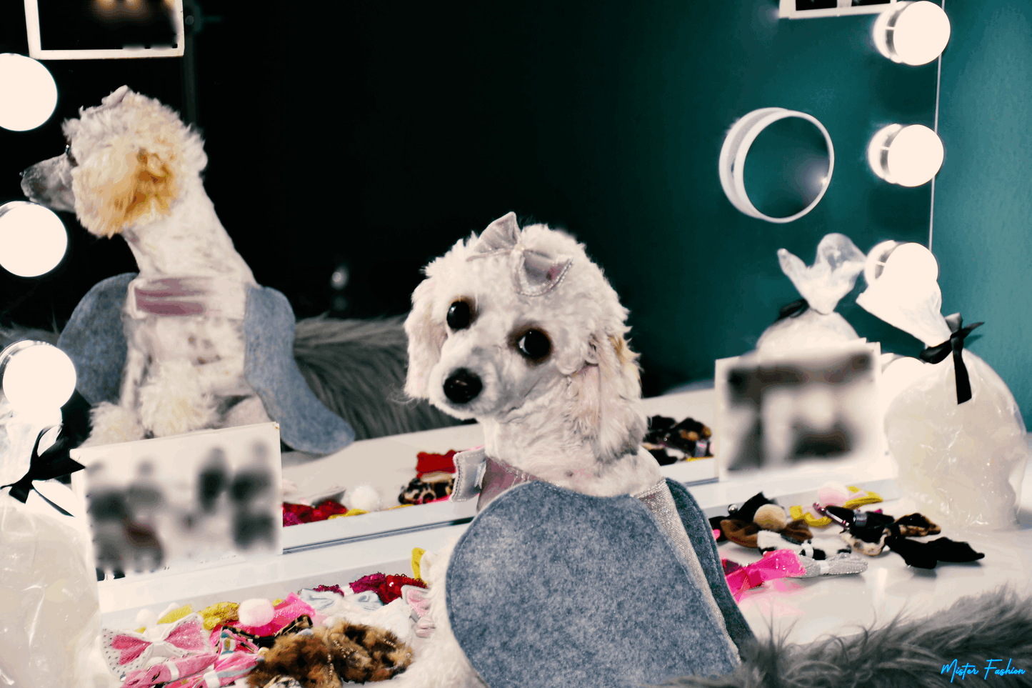 Cele is in front of a mirror wearing an elephant pet costume by mister fashion studio.