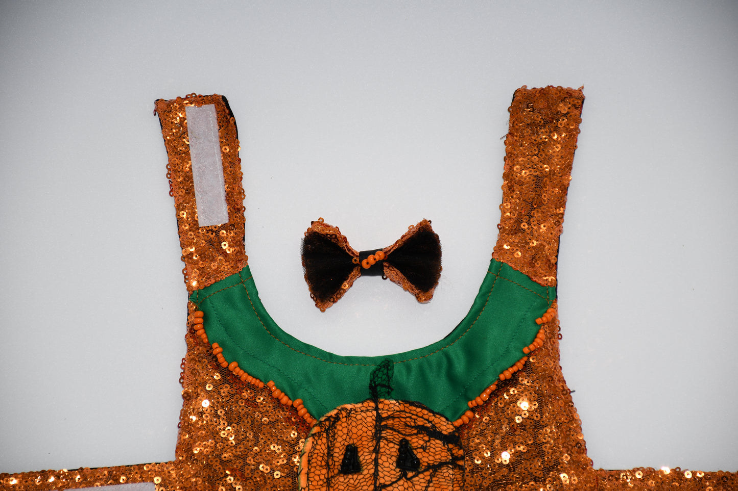 dog pumpkin halloween costume