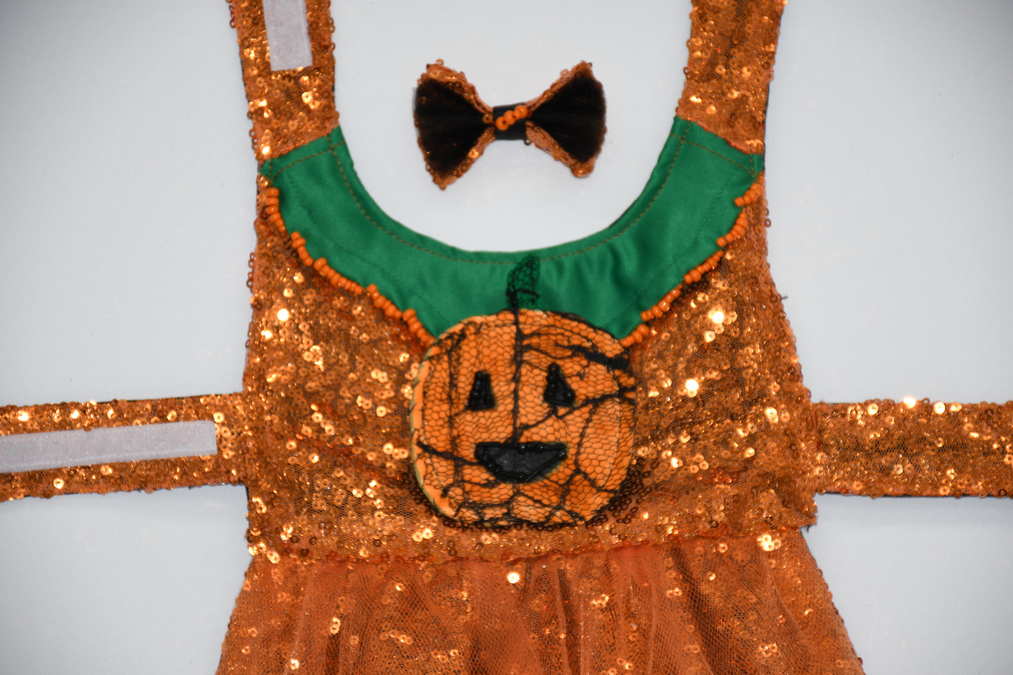 dog pumpkin embroidered costume