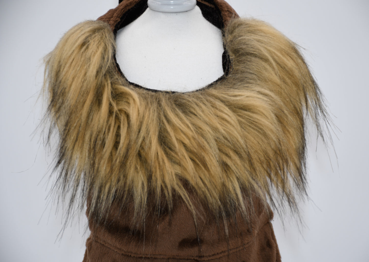 lion cat costume