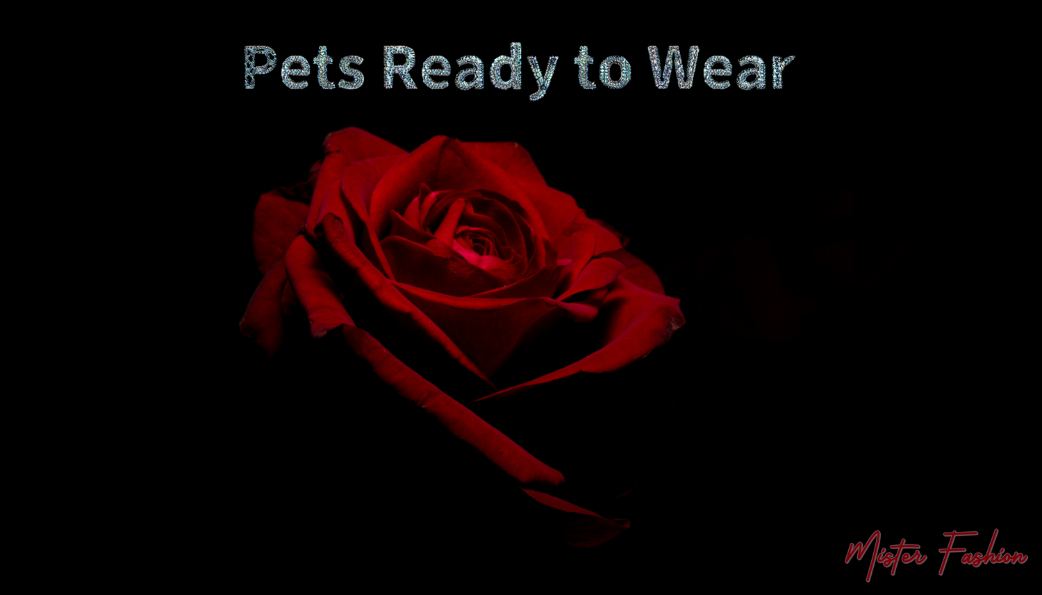 its reads pets ready to wear and has a red rose.