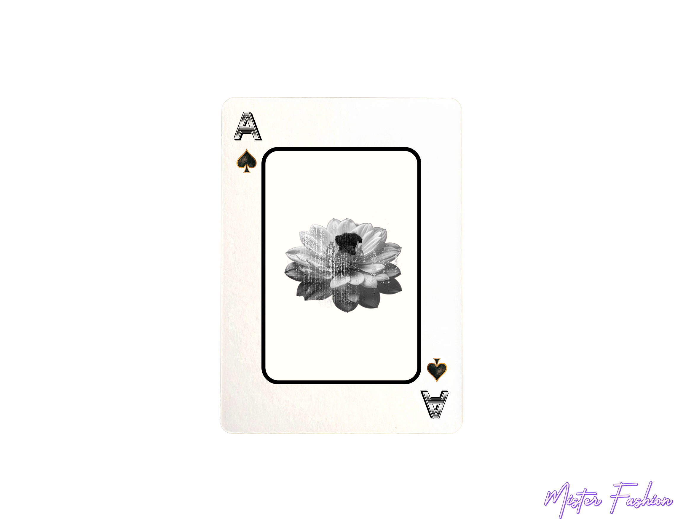 an ace card created by mister fashion with a flower and a poodle. 