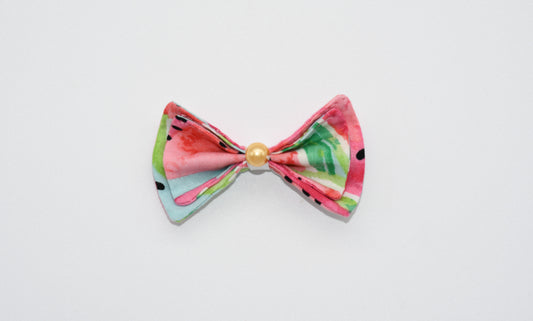 watermelon pet hairbow