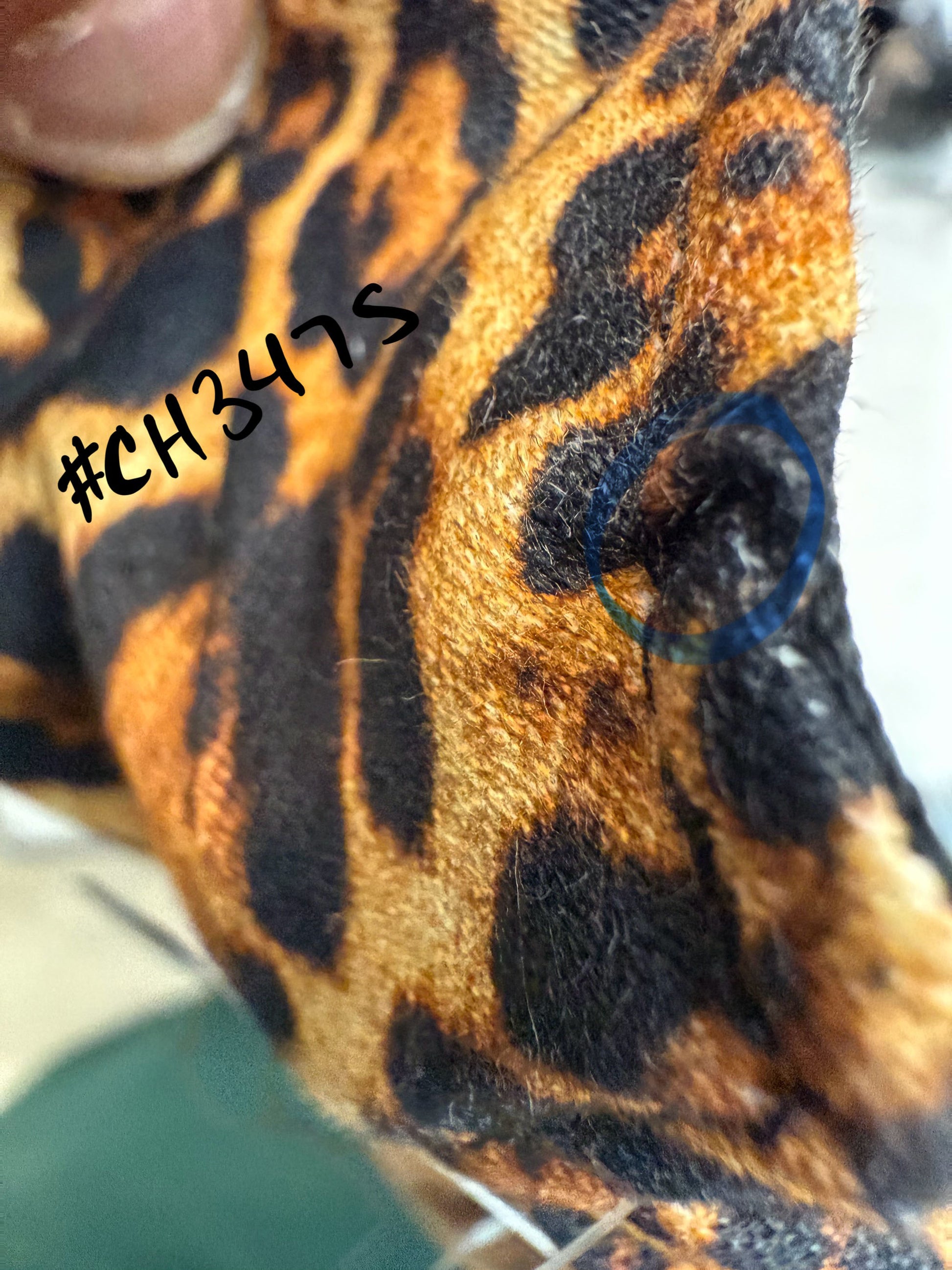 a close up of imperfection. this is an outlet dress. 