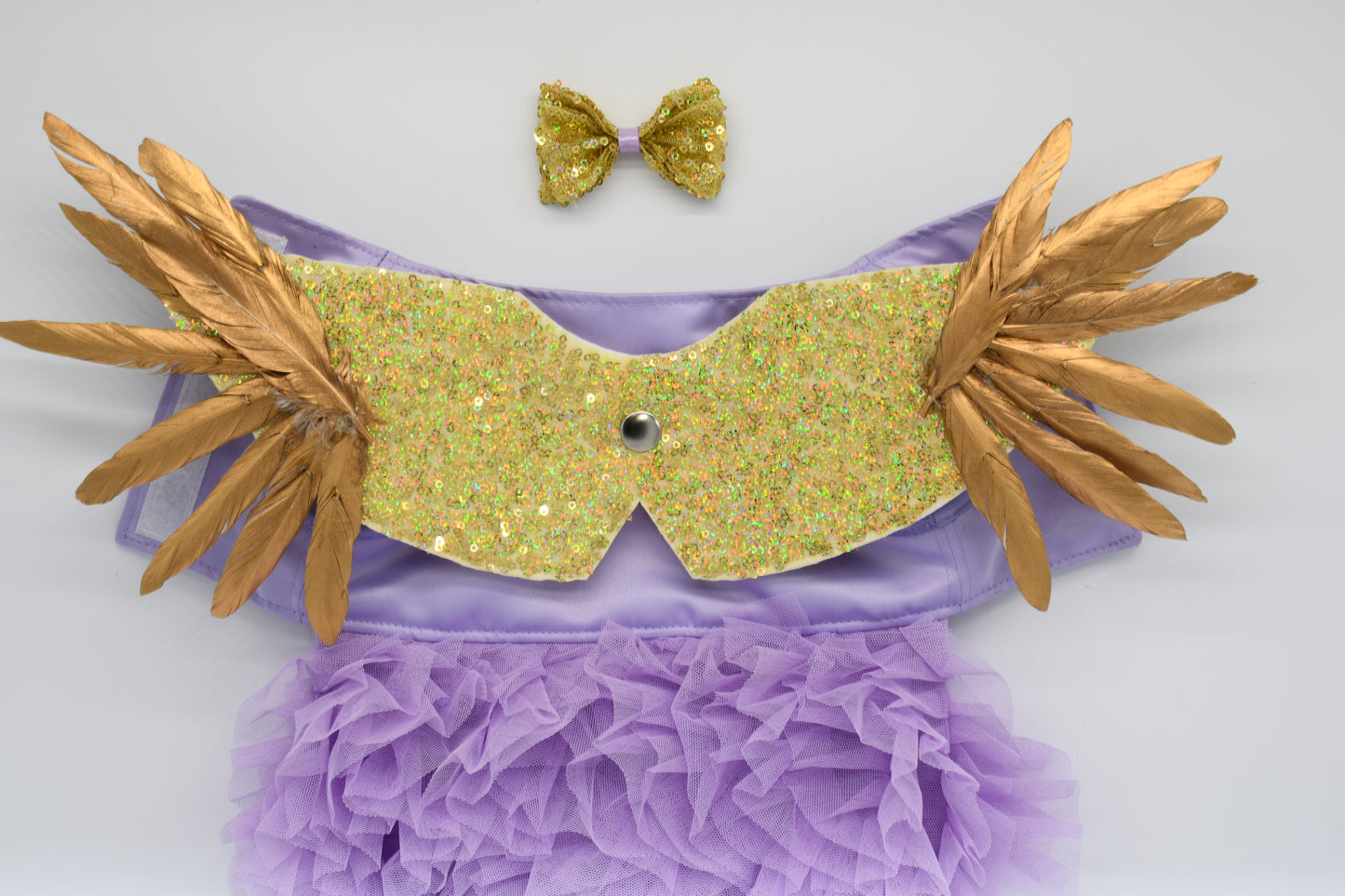 a photo of the per costume with wings