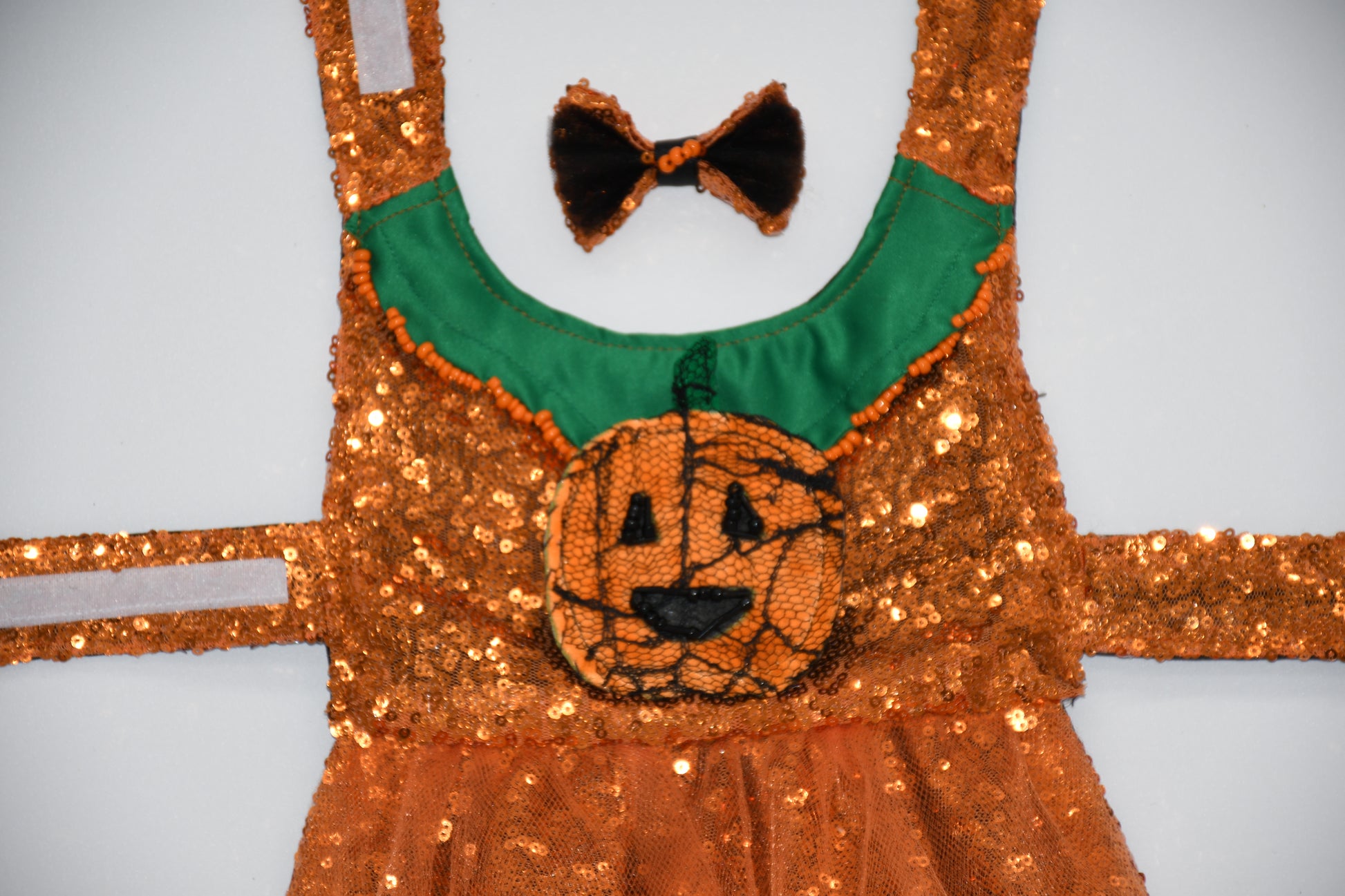 dog pumpkin embroidered costume 