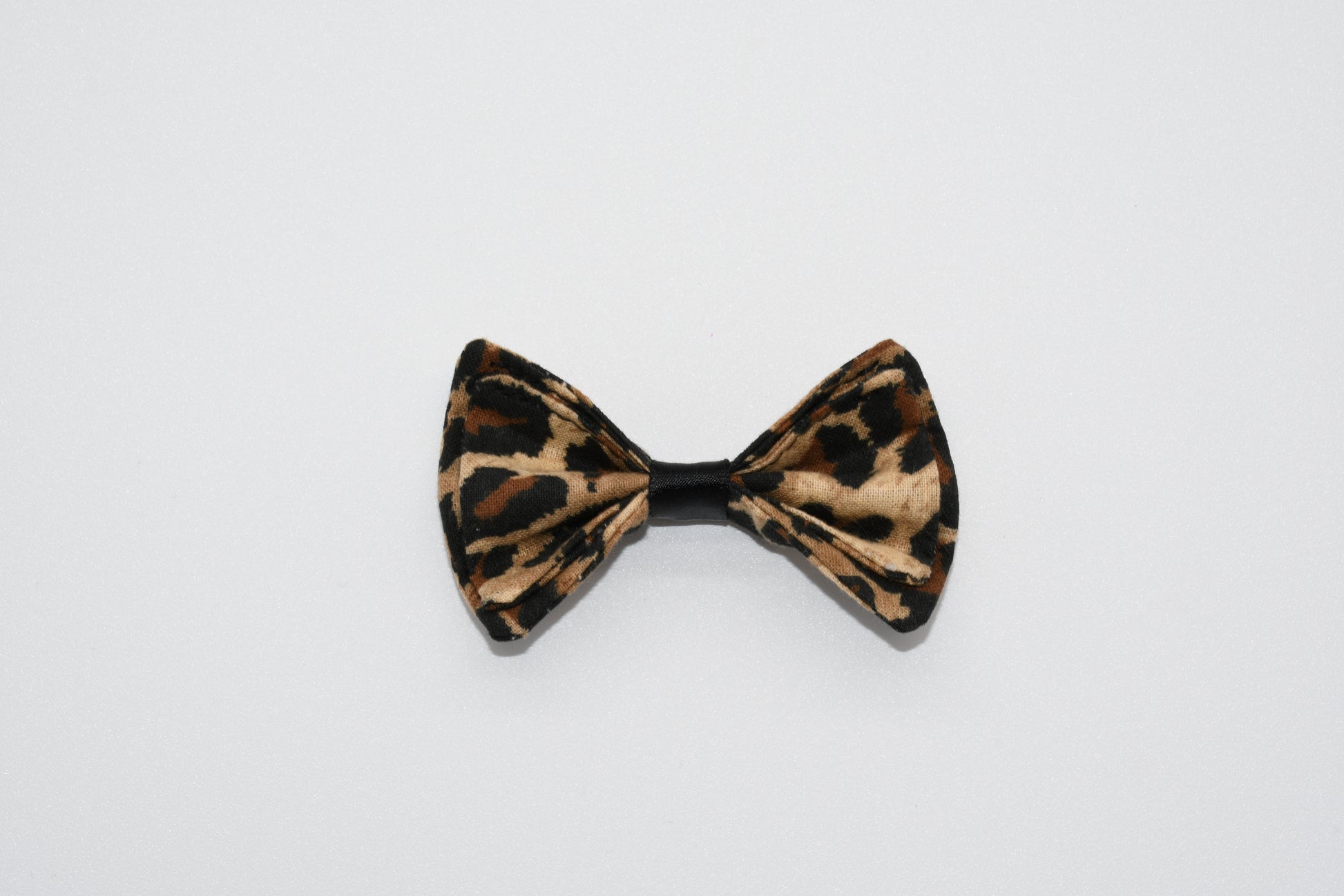 a front view of the leopard pet hairbow