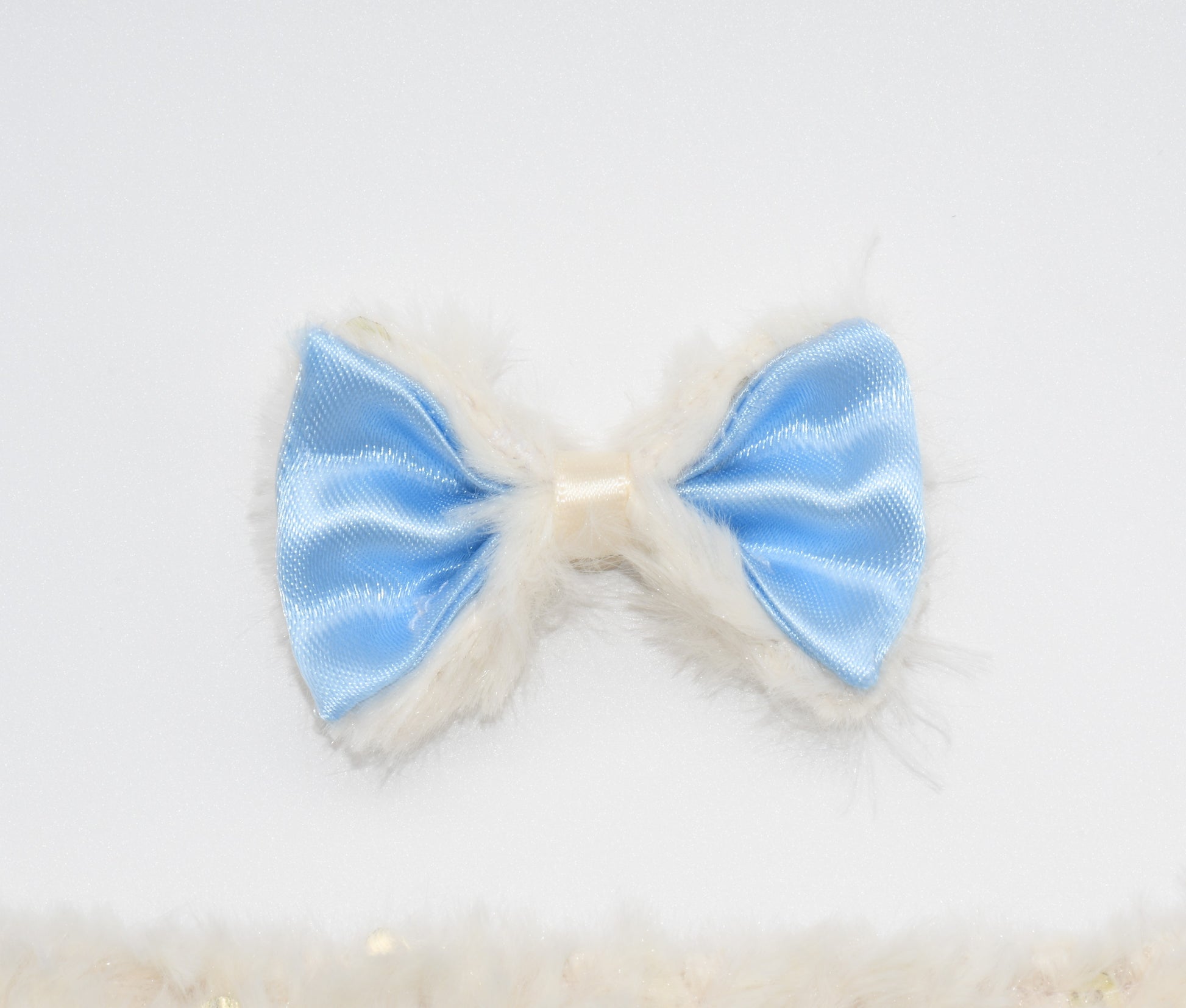 A close up at the pet hair bow