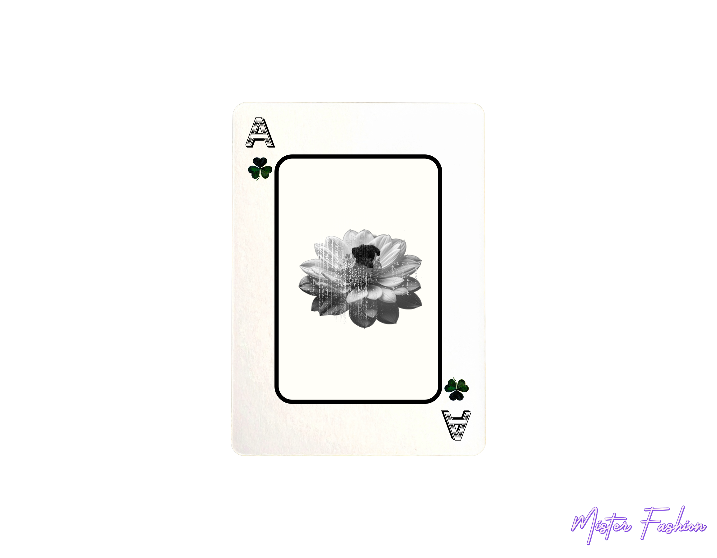 an ace card created by mister fashion with a flower and a poodle. ace of clovers