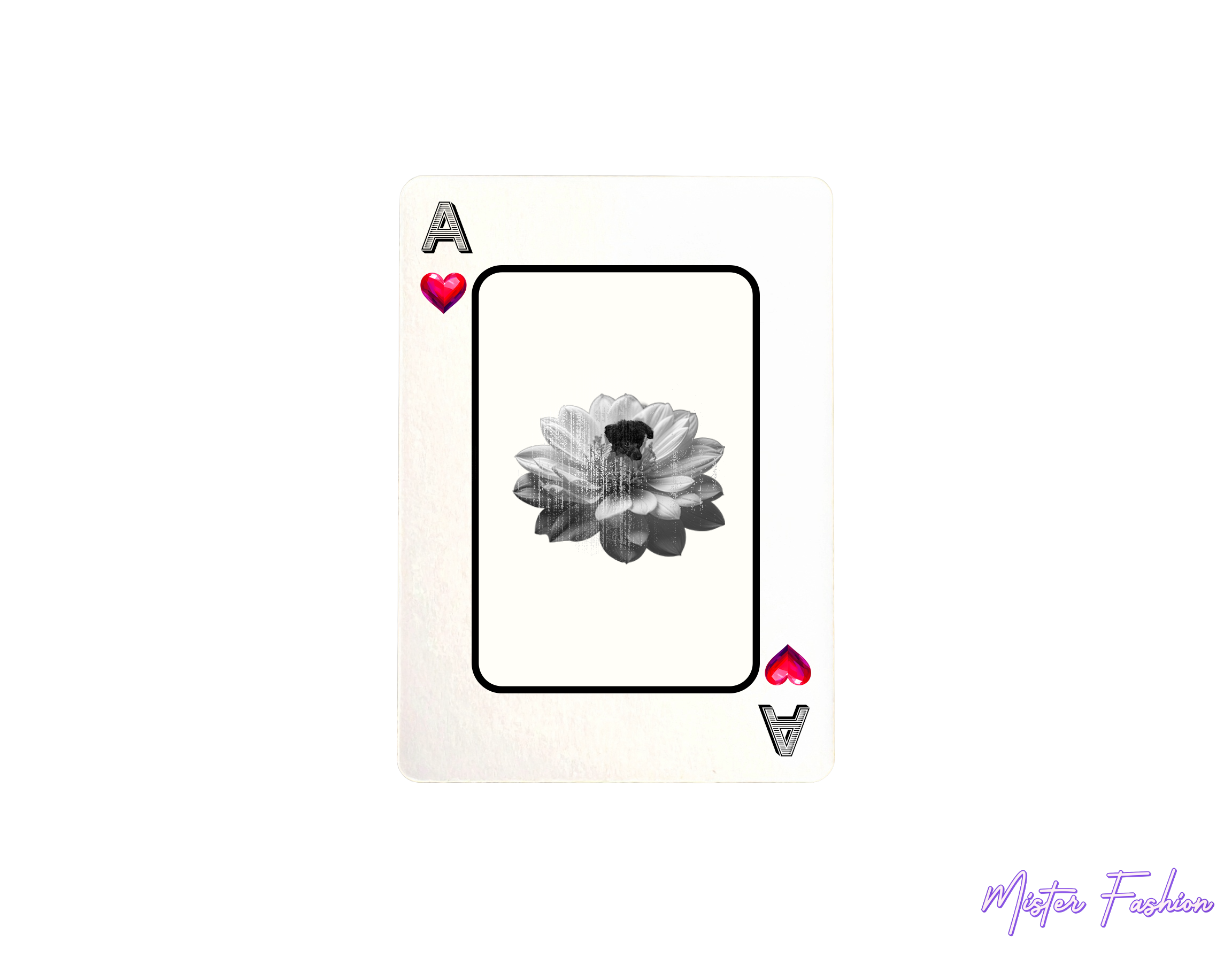 an ace card created by mister fashion with a flower and a poodle. 
