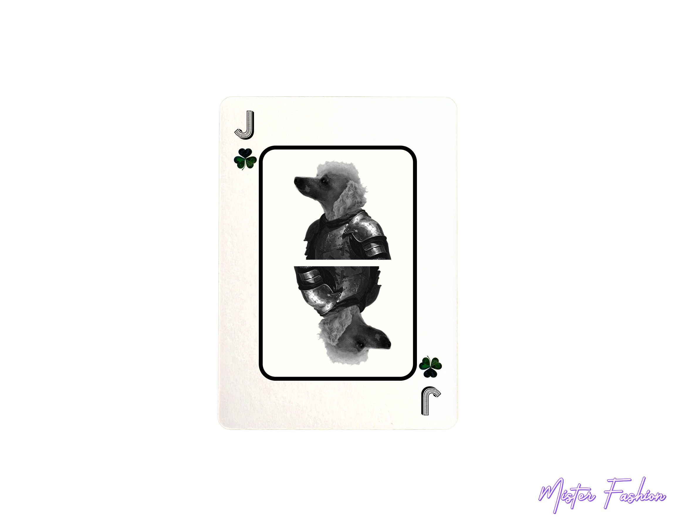jack of clovers card with a poodle.