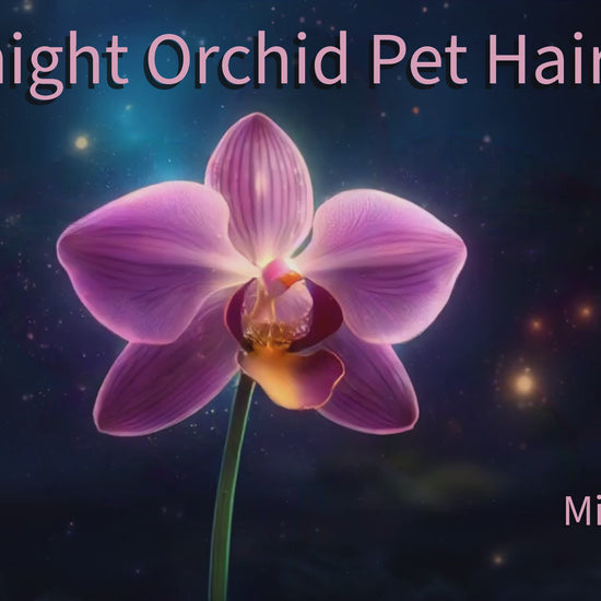 midnight orchid pet hair bow reel