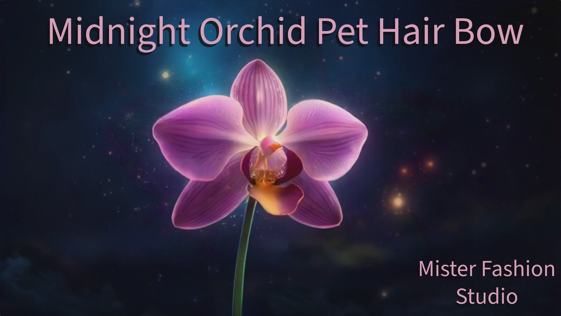 midnight orchid pet hair bow reel