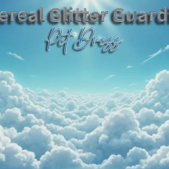 Ethereal Glitter Guardian Fairy Pet Dress photo reel