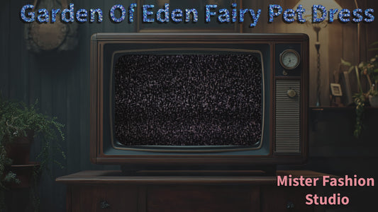 garden of eden fairy pet dress showroom video