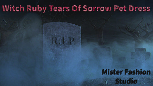 Witch Ruby Tears Or Sorrow Pet Dress showroom video