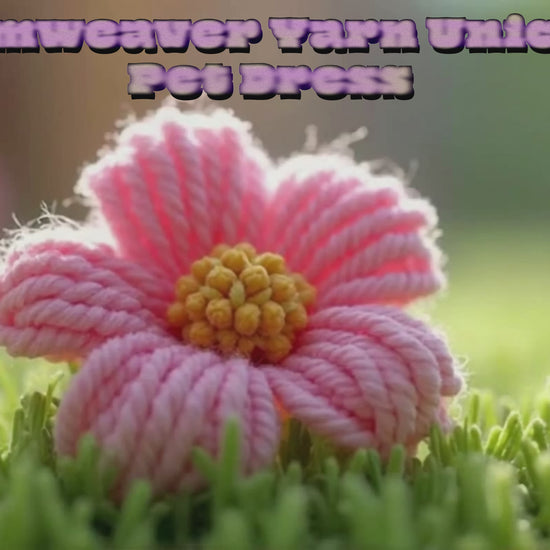Dreamweaver Yarn Unicorn Pet Dress animation video
