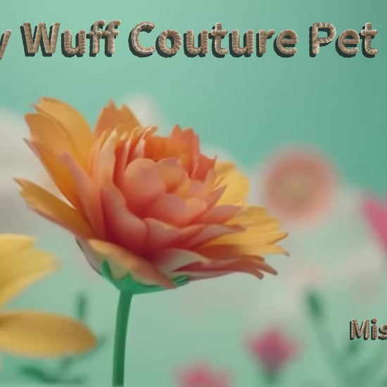 Wooly Wuff Couture Pet Dress animation video