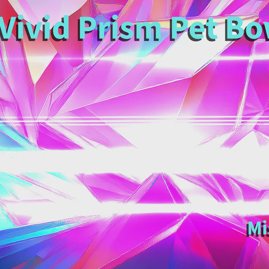 vivid prism pet hair bow reel