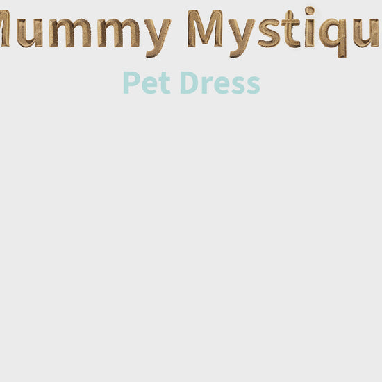 mummy mystique pet dress showroom video