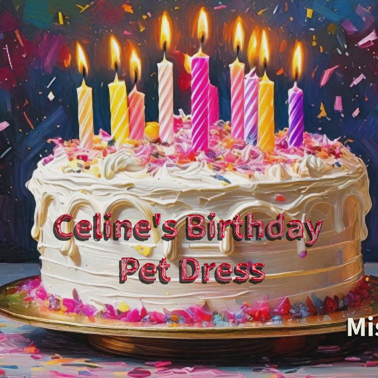 Celine’s Birthday Dress showroom video