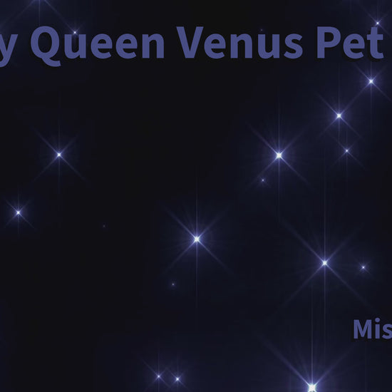 Fairy Queen Venus Pet Dress showroom video