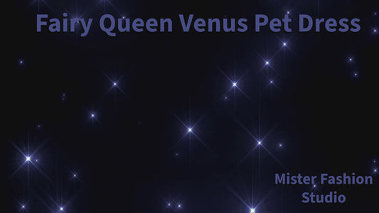 Fairy Queen Venus Pet Dress showroom video