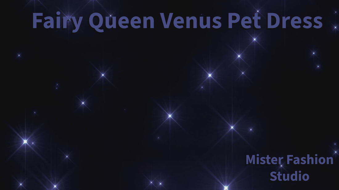 Fairy Queen Venus Pet Dress showroom video