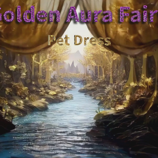 Golden Aura Fairy Pet Dress showroom video