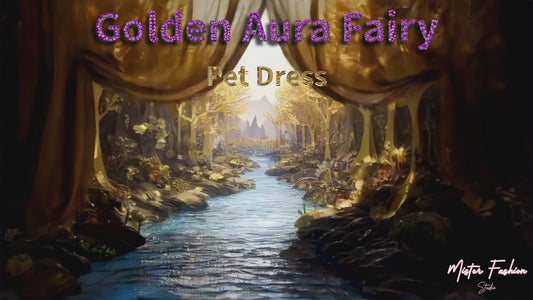 Golden Aura Fairy Pet Dress showroom video