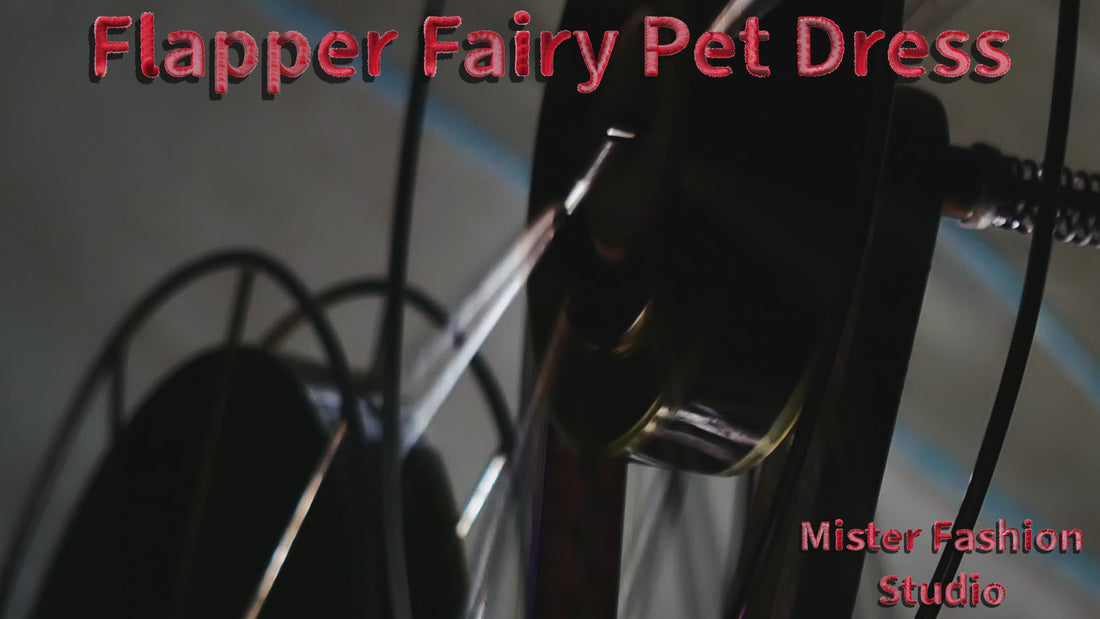 Flapper Fairy Pet Dress showroom video