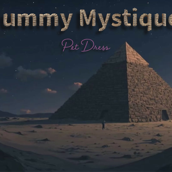 Mummy Mystique Pet Dress animation video