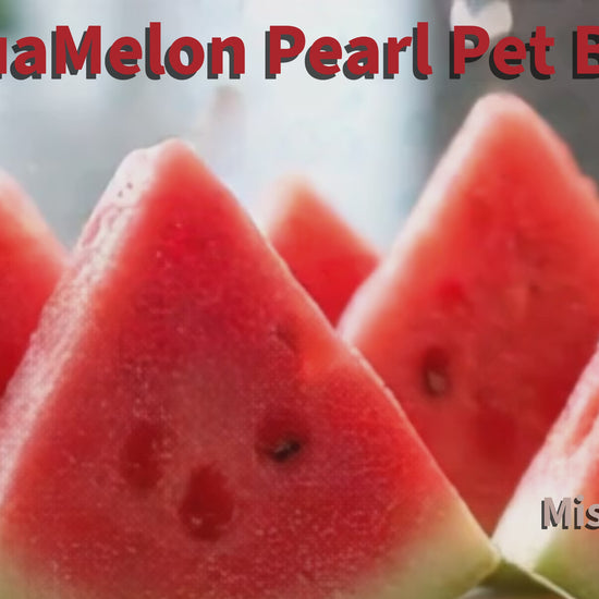 AquaMelon Pearl Pet Hair Bow reel