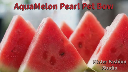 AquaMelon Pearl Pet Hair Bow reel