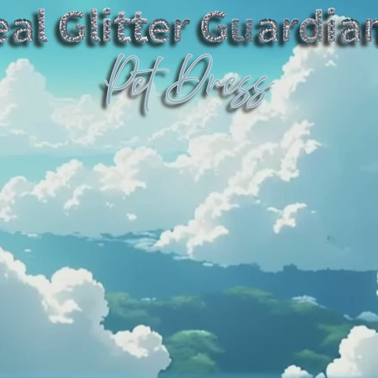 Ethereal Glitter Guardian Fairy Pet Dress showroom video