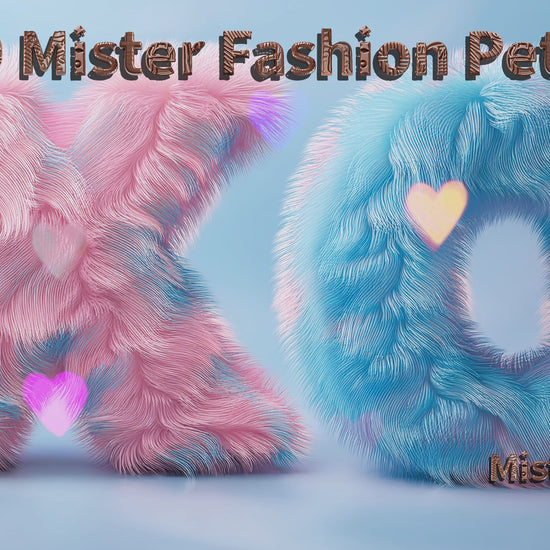 XOXO Mister Fashion pet hair bow reel
