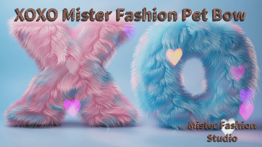 XOXO Mister Fashion pet hair bow reel